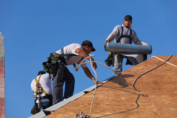 Best Roof Restoration Services  in Highland Springs, VA