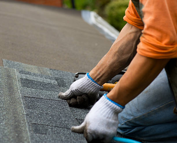 Best Roofing Contractor Near Me  in Highland Springs, VA